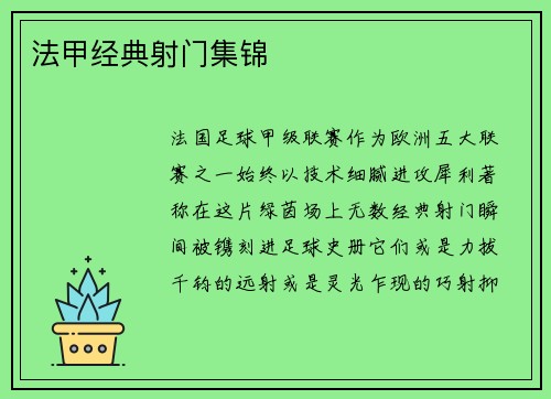 法甲经典射门集锦
